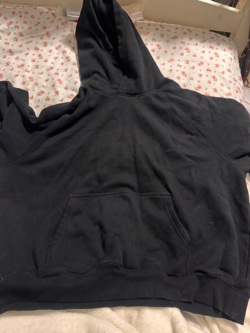 Aritzia hoodie